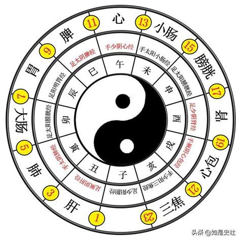 二儀生四象|太極、兩儀、四象、八卦？這篇文章讓你明白它們是什。